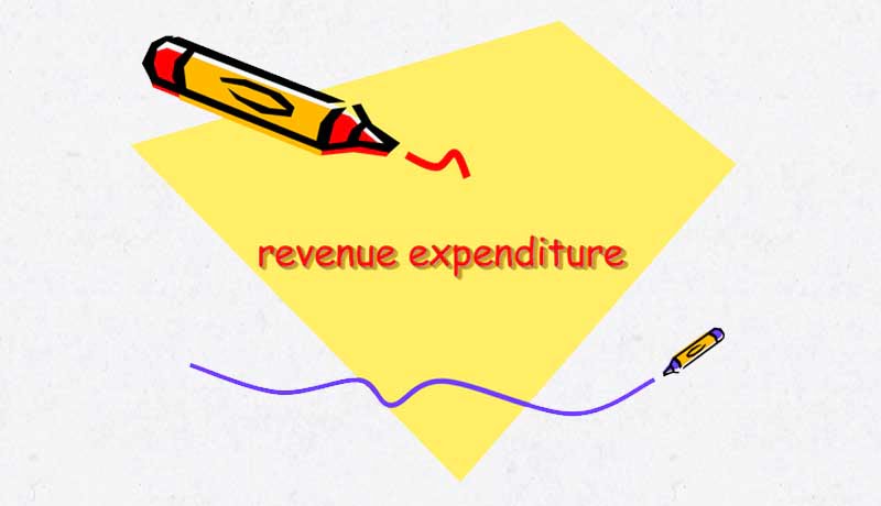 Revenue Expenditure - Taxscan