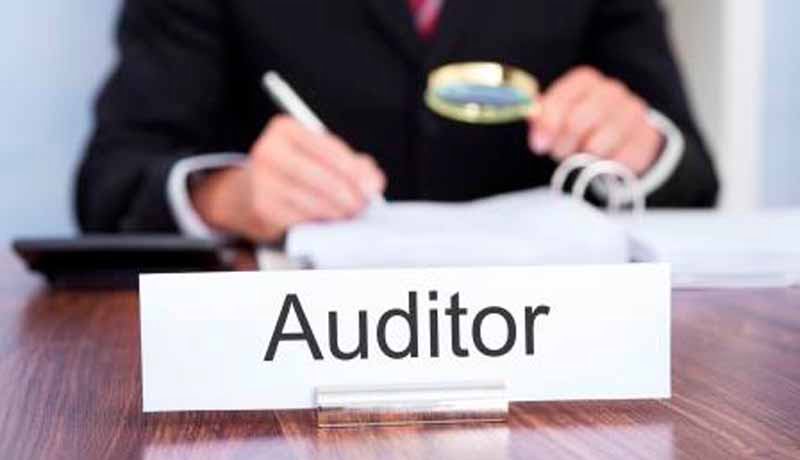 auditor