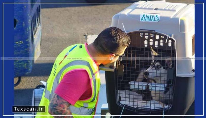 CBIC Notifies Revised Procedure For Import Of Pets And Live Animals