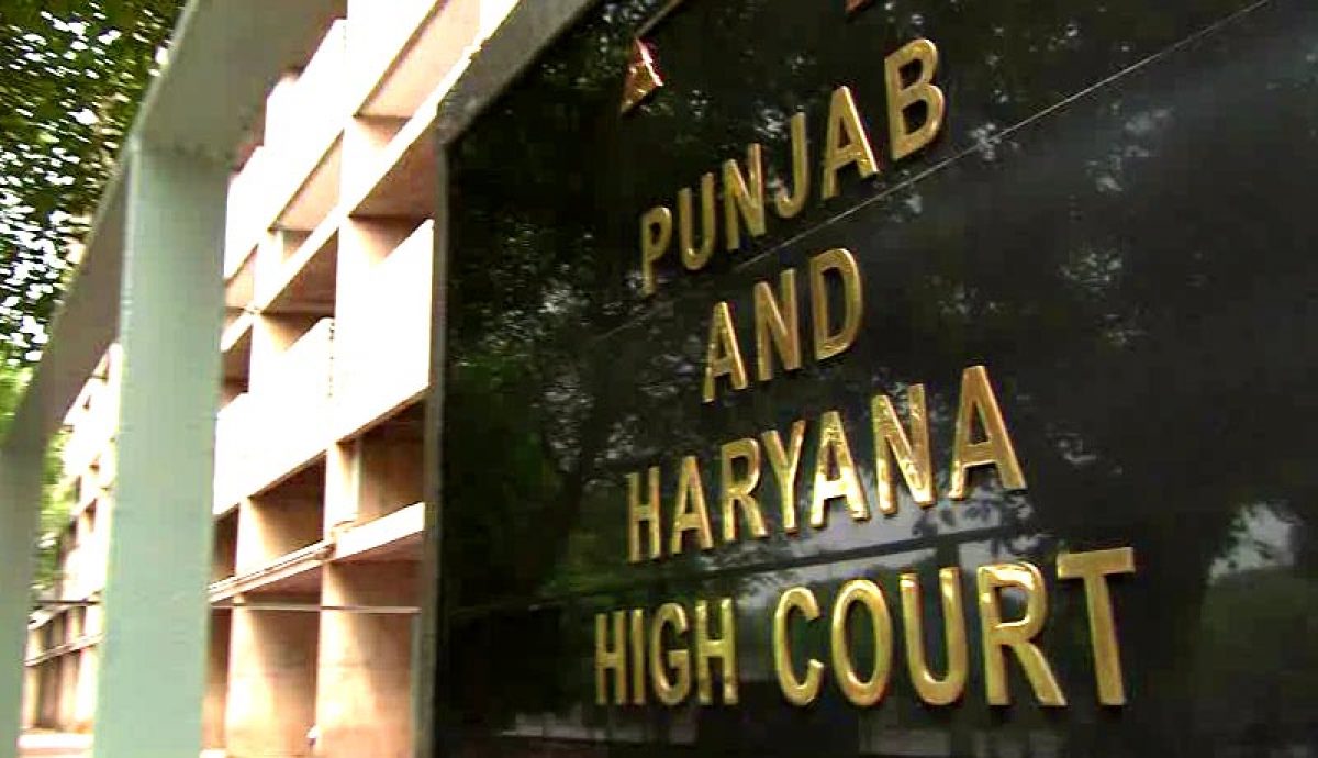 Amid the second wave of coronavirus, Amicus Curiae submitted its report in High Court regarding the COVID situation in Punjab and Haryana.