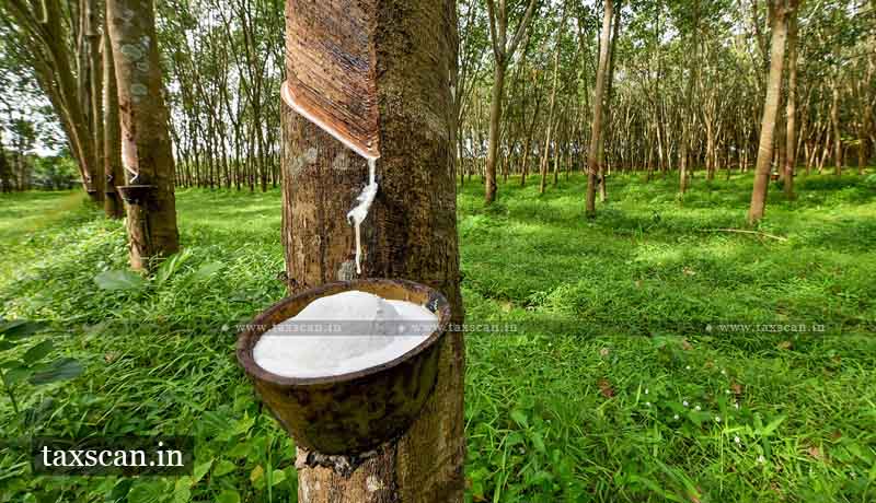 Rubber Tapping - GST - GST Exemption - Cup Holders - AAR - Taxscan