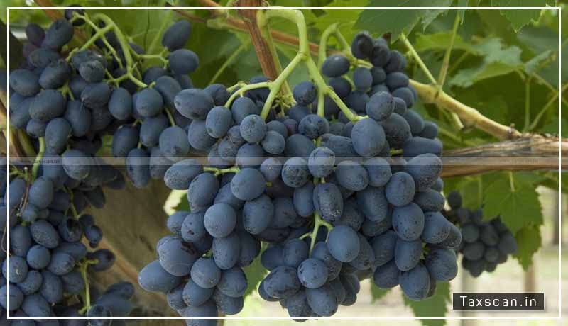 Testing Chemicals - Fresh Table Grapes - exempted - Agricultural Operations - directly related - production - agricultural produce - AAR - Taxscan