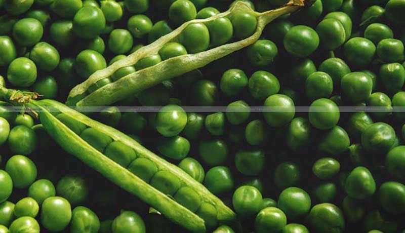 Import policy for Tur - Pigeon Peas - Moong - Urad - Taxscan