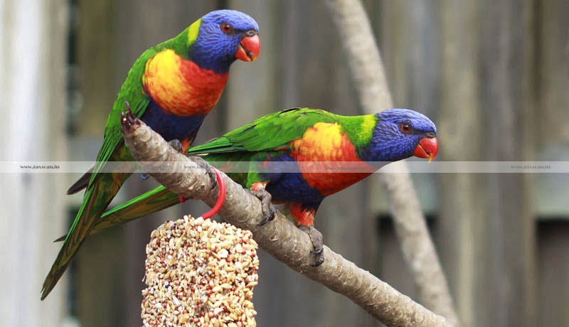 Exotic Birds - Wild Life Act - Calcutta HC - Transportation - Green Wing Macaw - Voluntary Disclosure Scheme - Taxscan
