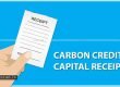Sale of Carbon Credit is capital receipt: ITAT - Vimarsana News