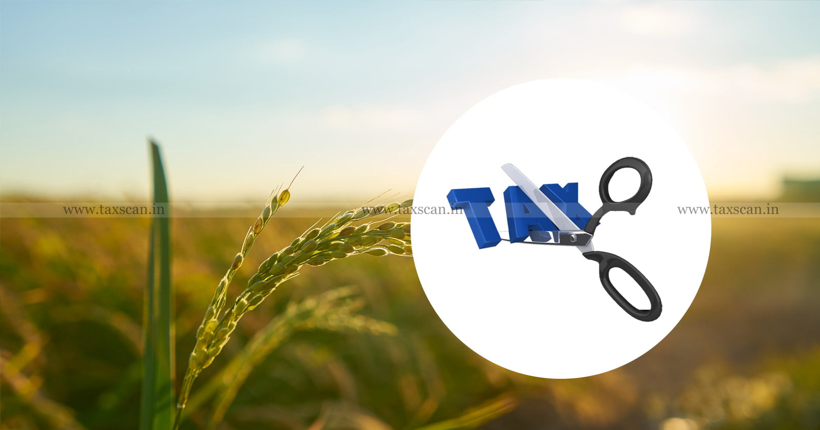Capital Gain Exemption - Capital Gain - Cultivated Land - ITAT - Income Tax - taxscan
