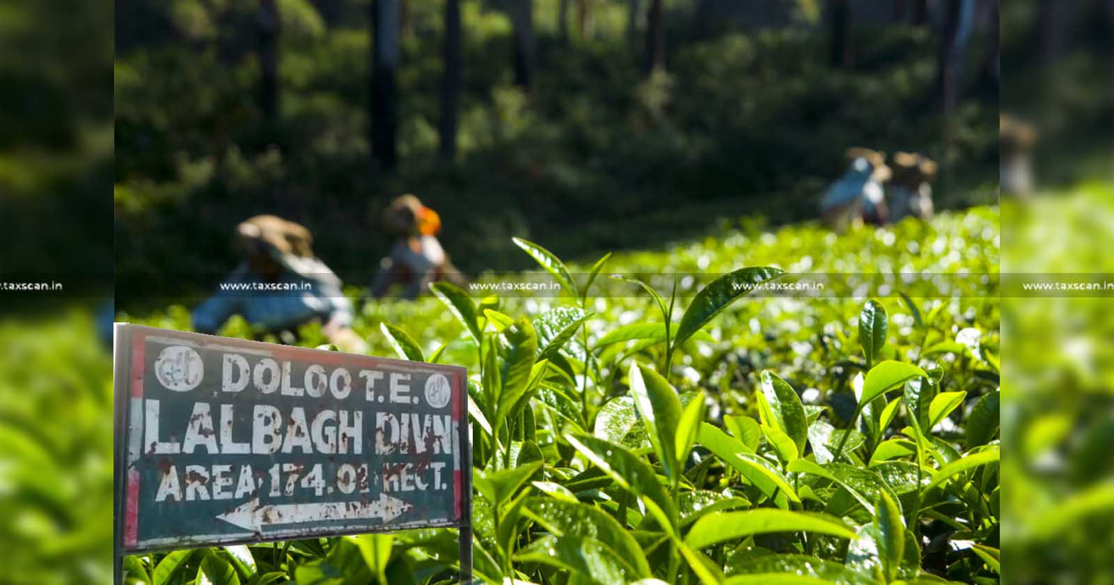 Doloo - Tea - Company - ITAT - Income - Tax - Addition - Taxing - Tea - bushes - Shade - Trees - TAXSCAN