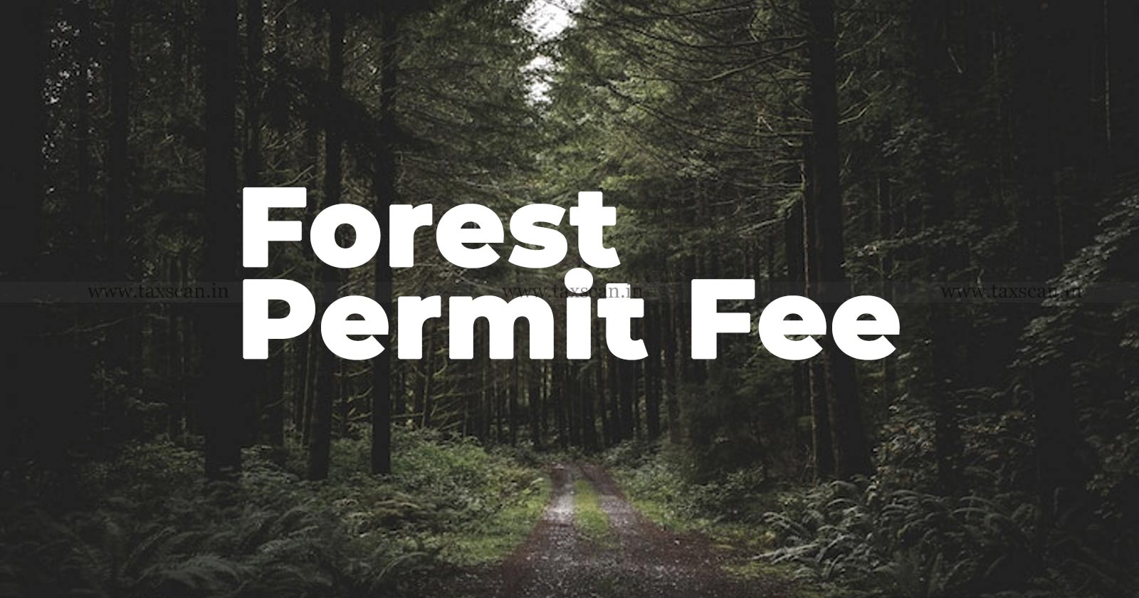 Forest Permit Fee - GST - AAR - Authority for Advance Ruling - taxscan
