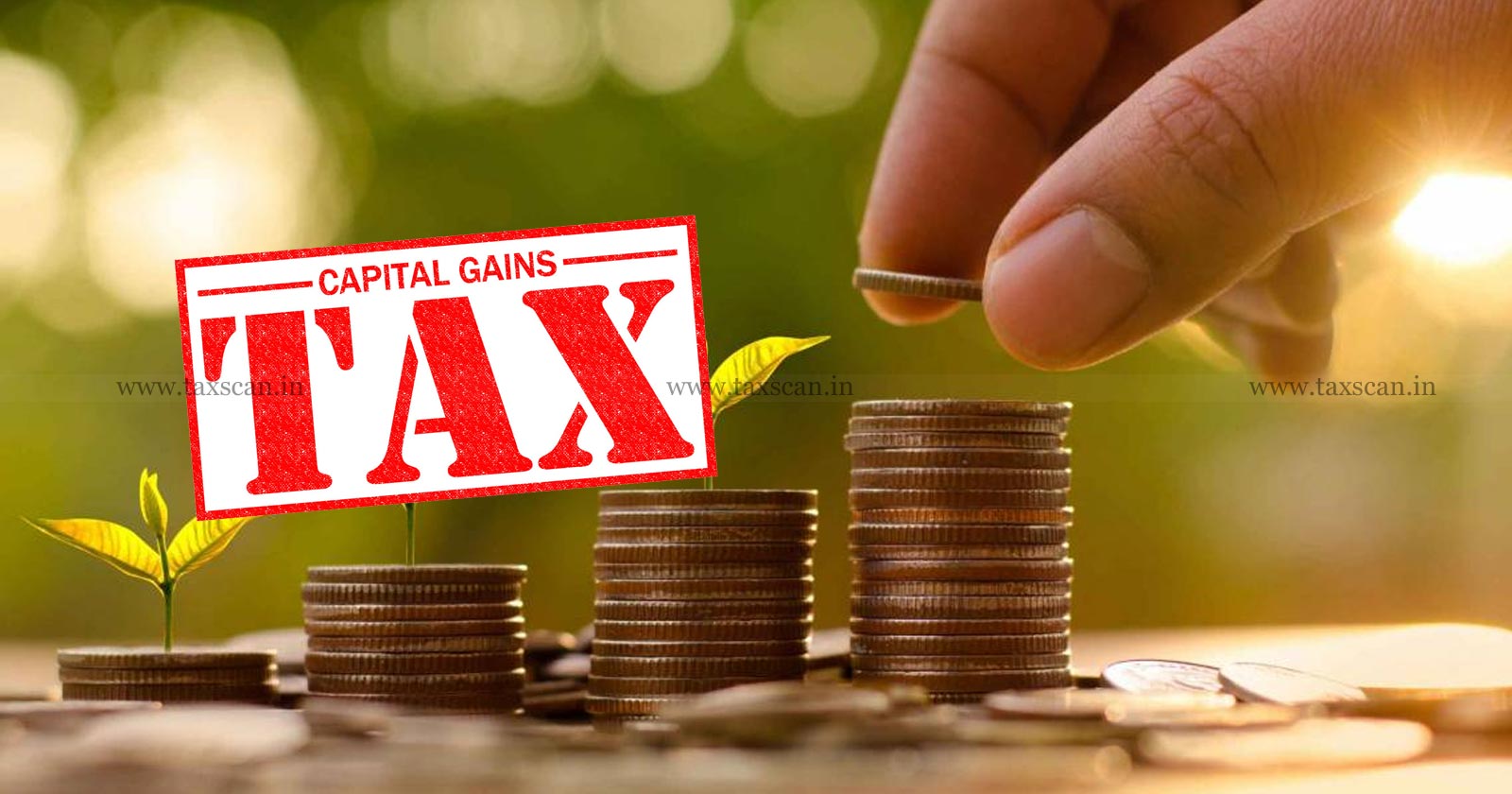 Union - Budget - 2023 - Capital - Gain - Tax - TAXSCAN
