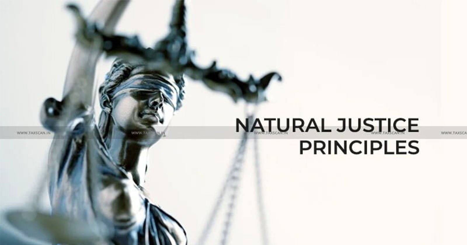 Ex Parte Order - Principles of Natural Justice - Natural Justice - Allahabad High Court - taxscan