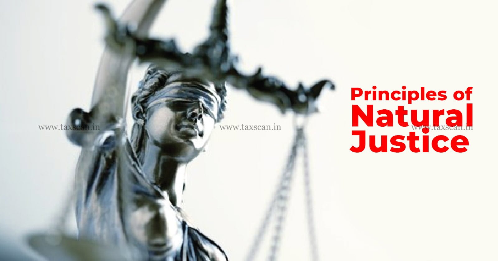 Principles of Natural Justice - Natural Justice - Assessment - Penalty - TNVAT Act - Madras High Court - Taxscan