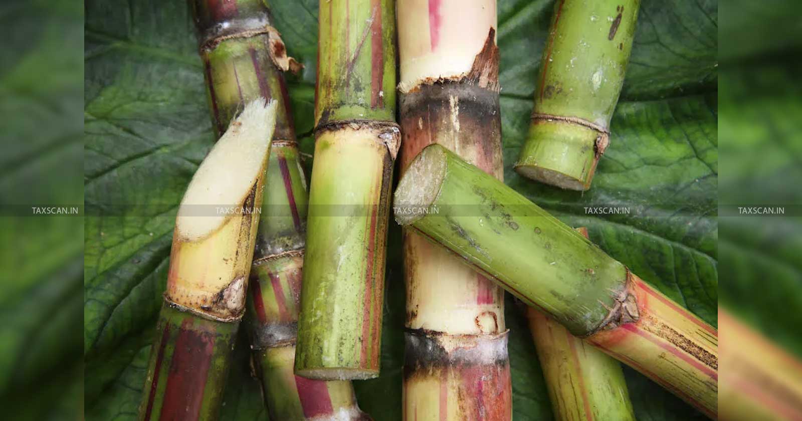 Price paid by Sugar Cooperatives - Purchase of Sugar Cane - FRP - Sugar Cane - Recent Amendment -Sugar Cooperatives - ITAT - taxscan