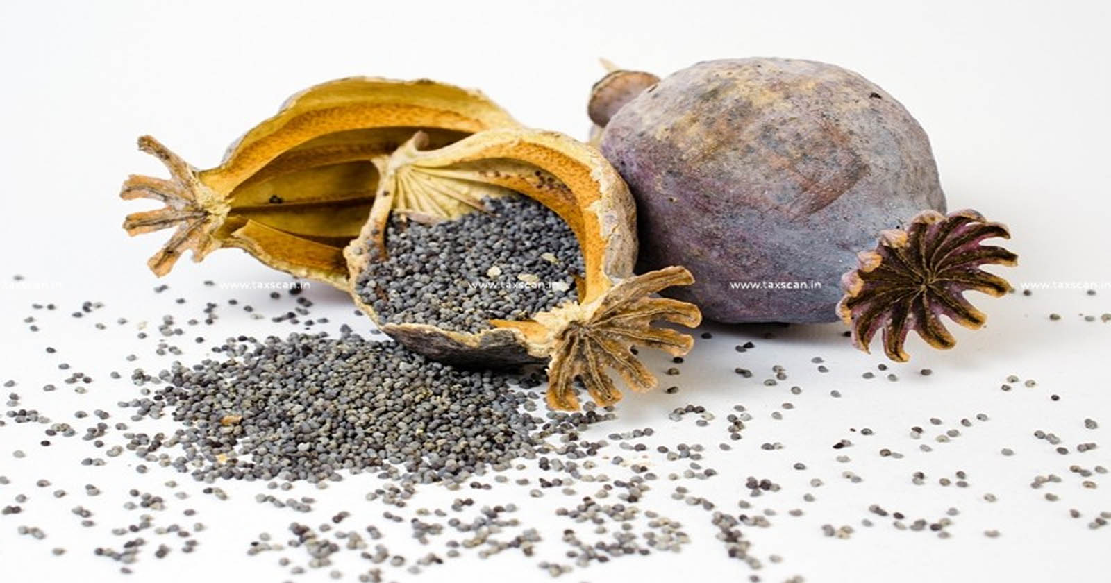 Smuggling of Poppy Seed by way of Bogus E Way Bill Calcutta HC directs to release Tea Consignment