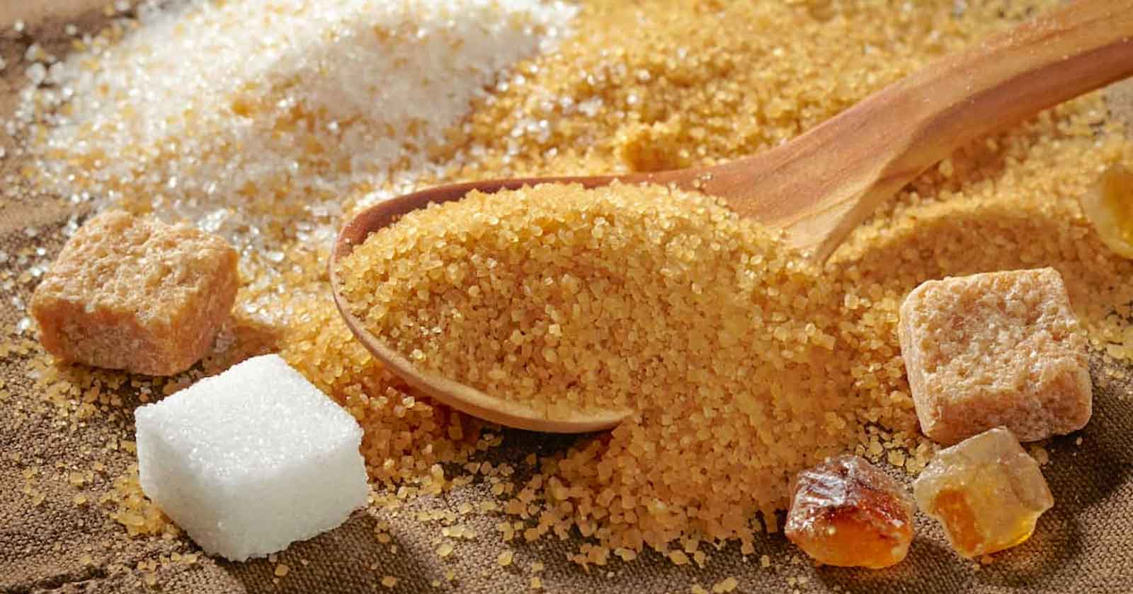 CETA - Excise Duty - CESTAT allows Cenvat Credit on Sugar Cess Paid - Import of Raw Sugar -Cenvat Credit - taxscan