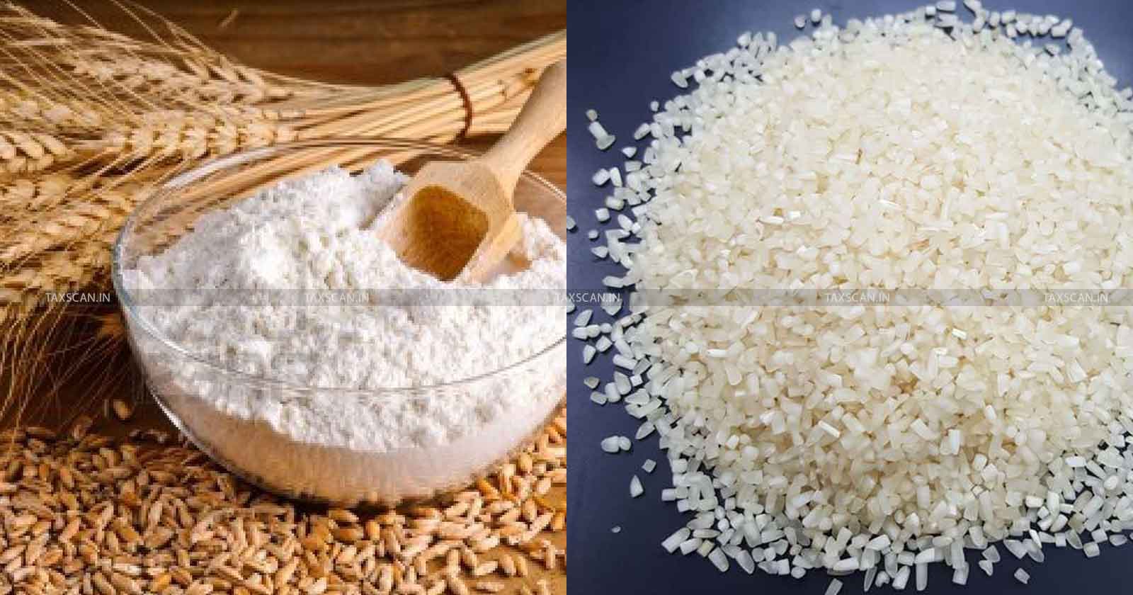 Central Govt invites application from Exporters - Central Govt invites - Central Govt - Quota to Export Wheat - Export Wheat - Wheat - Wheat Flour - Broken Rice - Taxscan