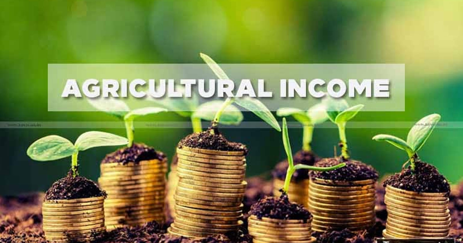 Income from Nursery Activities of growing various types of Lawns - Flower Plants and Vegetable Plants is Agricultural Income - Business Income - ITAT - TAXSCAN