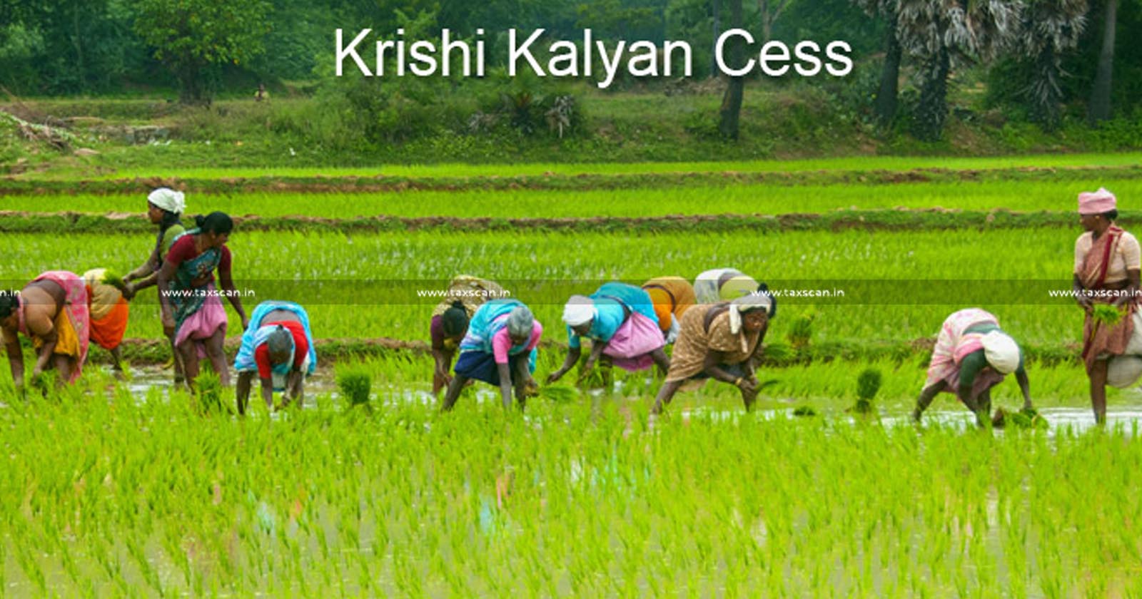 Export Service - Grade Pig Iron - Refund - Krishi Kalyan Cess - Service Tax - Finance Act - CESTAT - taxscan