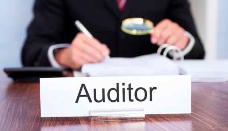 Auditing -Auditors - financial statement - government entity -Internal Revenue Service - Service IRS financial - taxscan