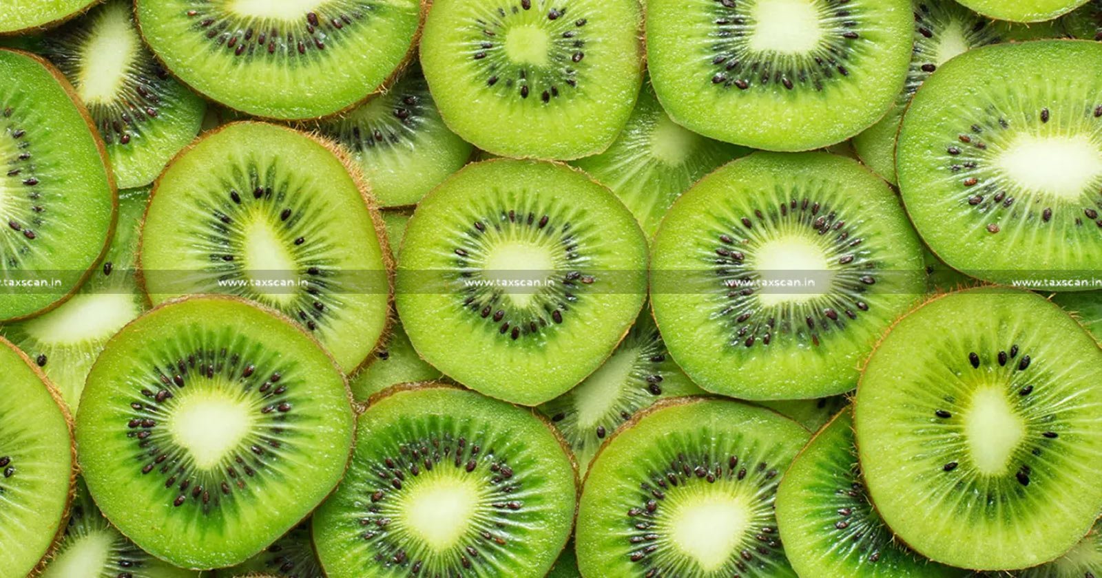 CESTAT - Kiwi Fruit - Re-export of Kiwi Fruit Delayed - TAXSCAN