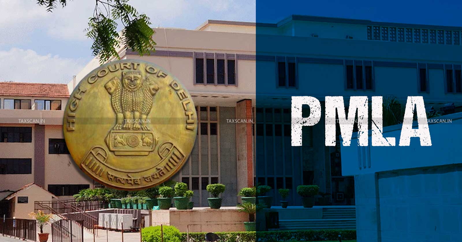 Delhi High Court - PMLA case - PMLA - Interim Bail - TAXSCAN