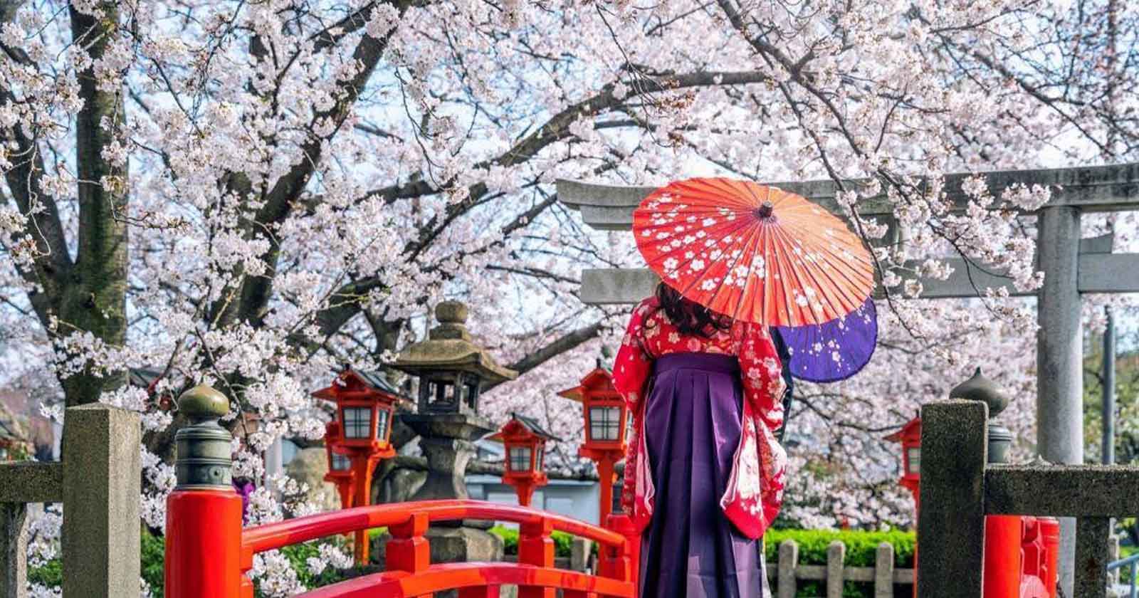 Travel insurance for japan trip - Visit Japan - Japan trip - Best time to visit Japan - Japan visa