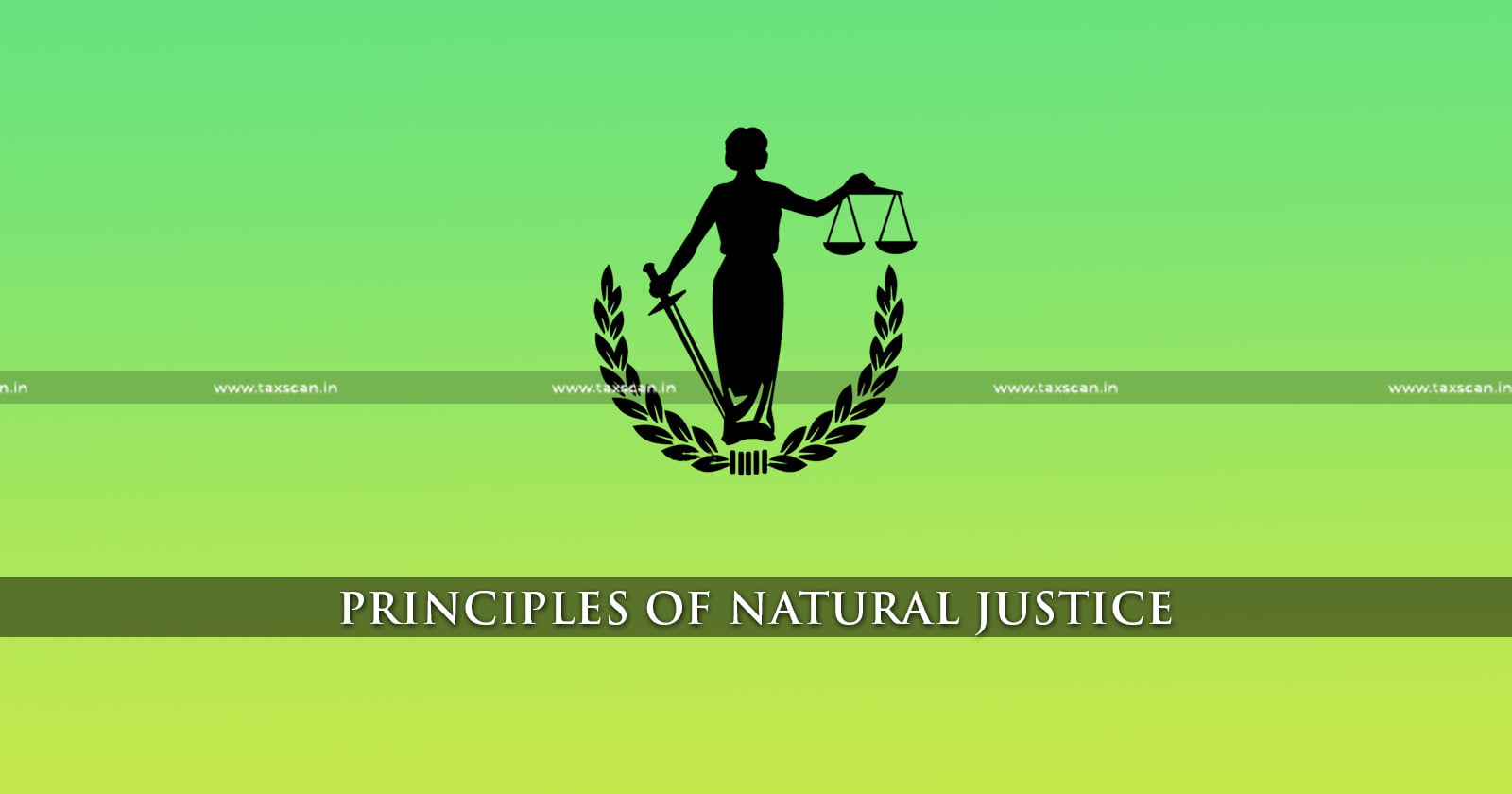 ITAT - Assessment Order - Violation of Principles of Natural Justice - taxscan