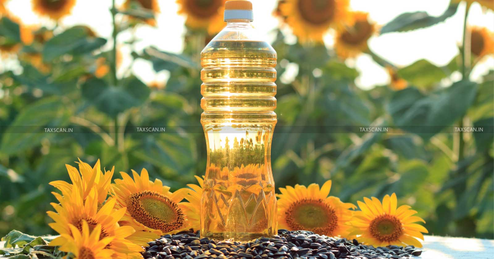 Export Import Update - Sunflower Oil Export Regulations - Sunflower Oil Export - Sunflower Oil Export Policy - TAXSCAN