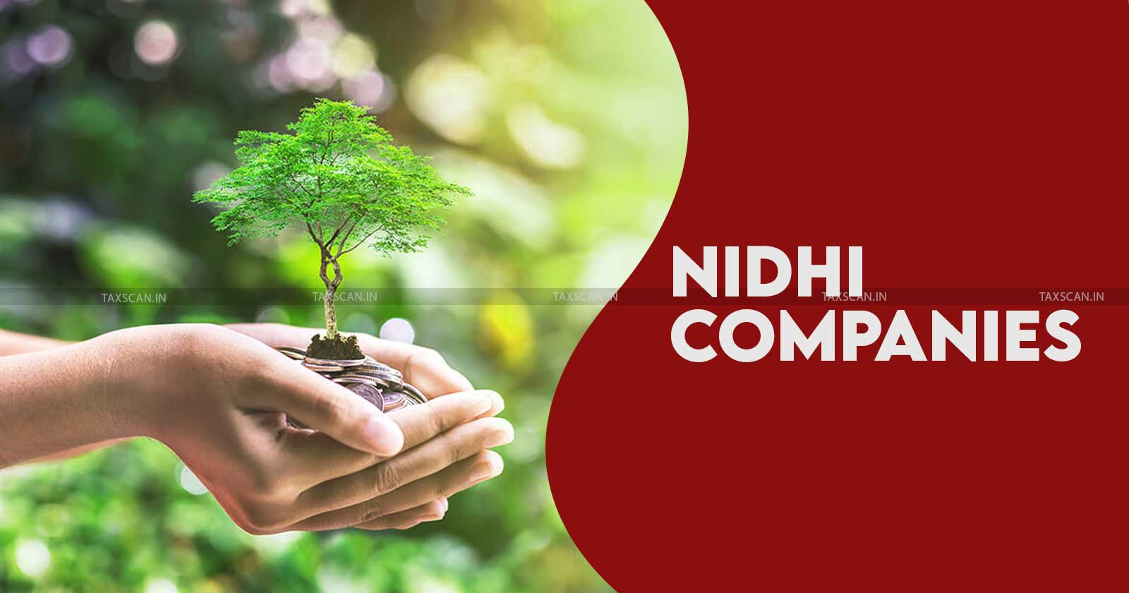 Kerala High Court - Nidhi Companies - Nidhi Companies Case - Nidhi Companies financial regulations - taxscan