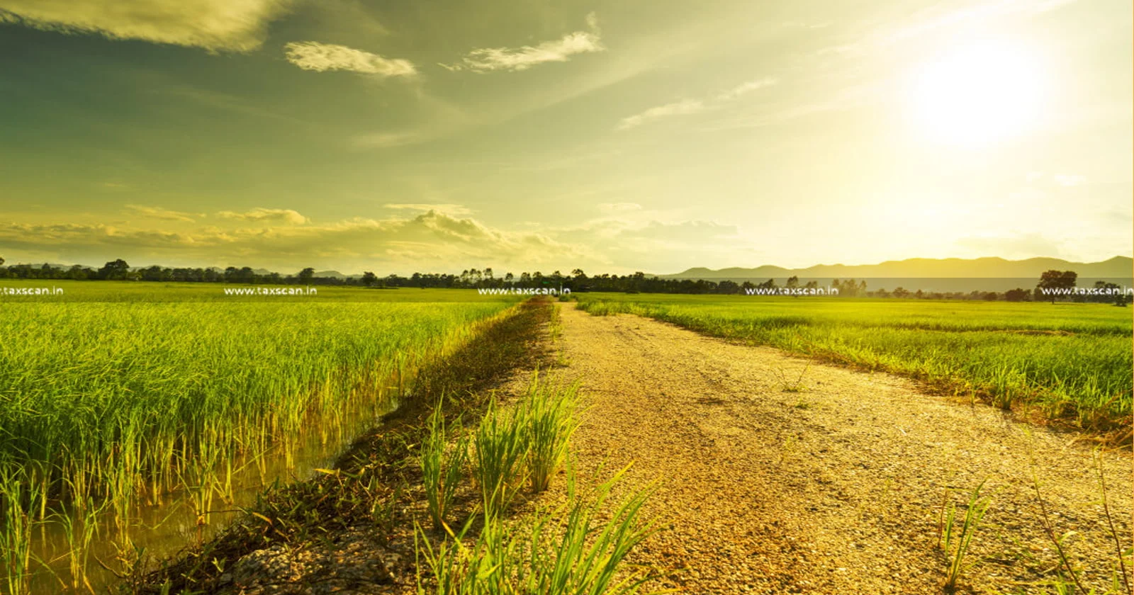ITAT - Penalty - Cash Receipt - Ancestral Land Sale - Citing Bona Fide Belief - taxscan